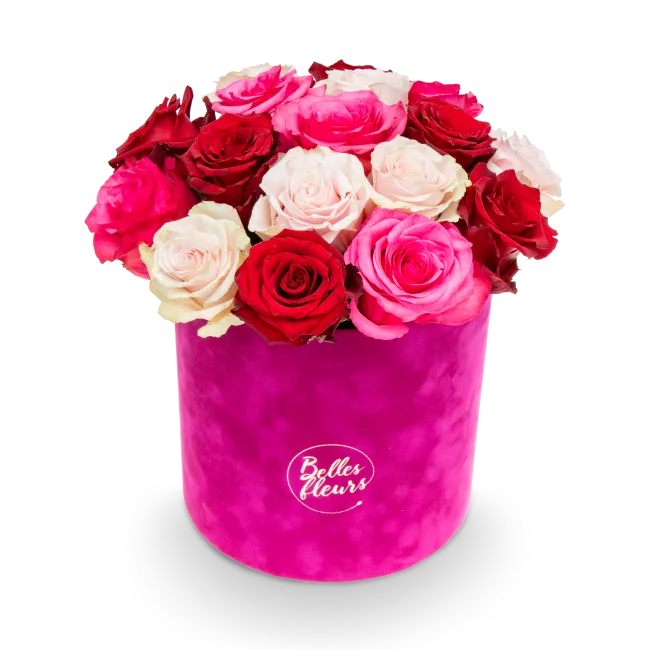 Květinový box růží